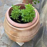 Apartman Agkyra